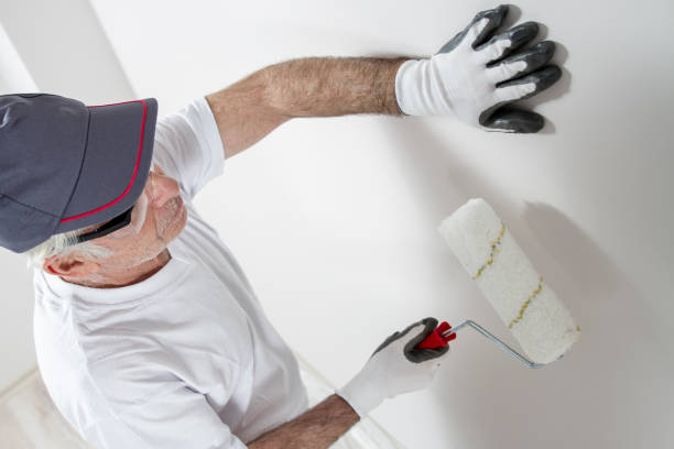 Best Mold Removal for HVAC Installations  in Gleneagle, CO