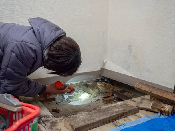 Best Airborne Mold Testing  in Gleneagle, CO