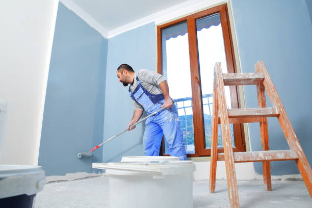 Best Comprehensive Air Testing for Mold Contaminants  in Gleneagle, CO