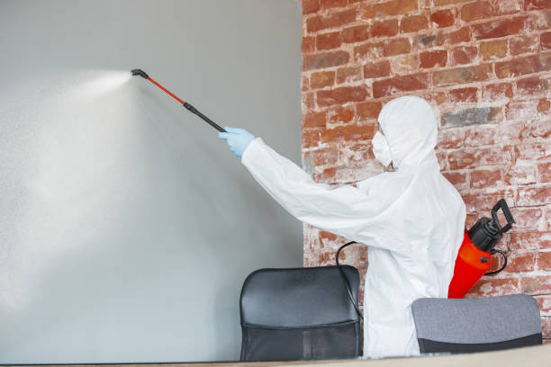 Best Crawl Space Mold Remediation  in Gleneagle, CO