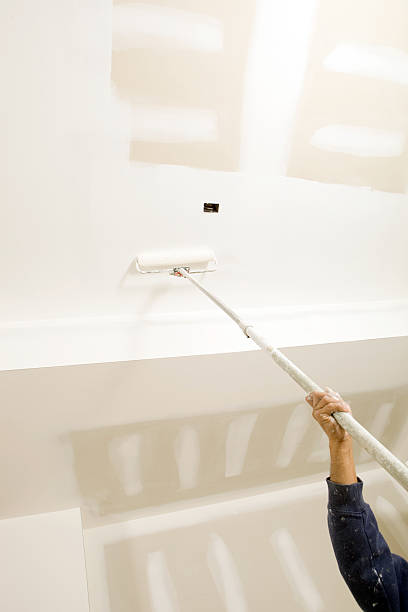 Best Mold Documentation for Insurance Claims  in Gleneagle, CO